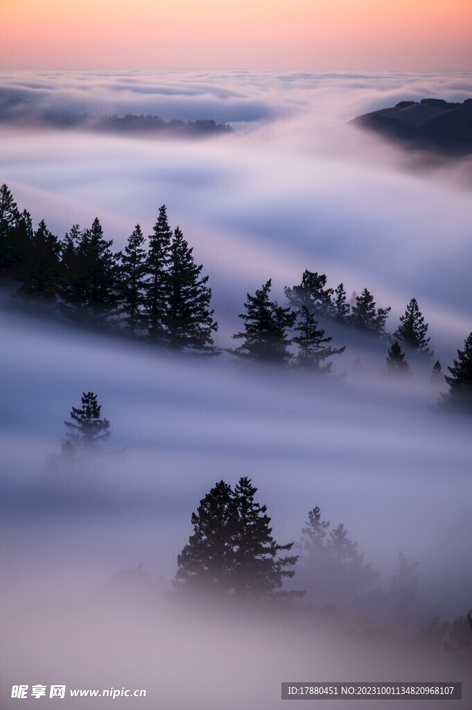 山林