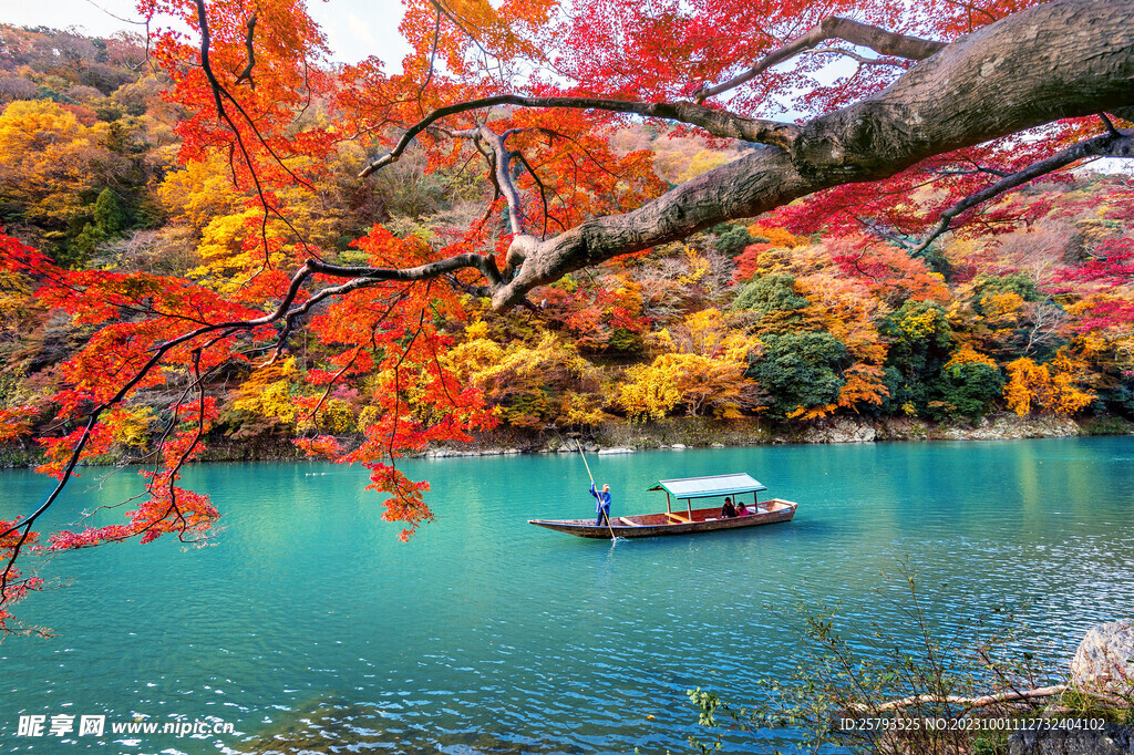 秋日风景
