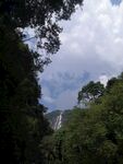 山中风景
