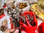 中草药