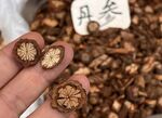 蛋参