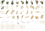 绿植叶子笔触png