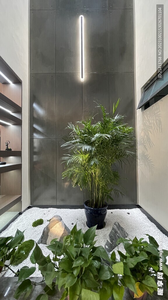 家居绿植摆件