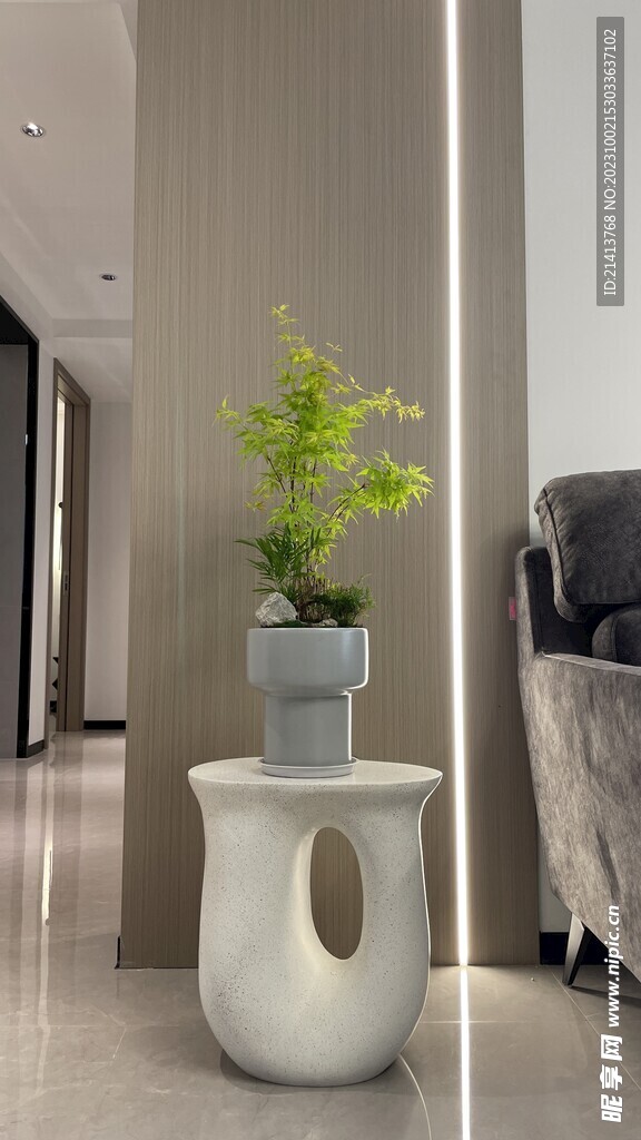 家居绿植摆件