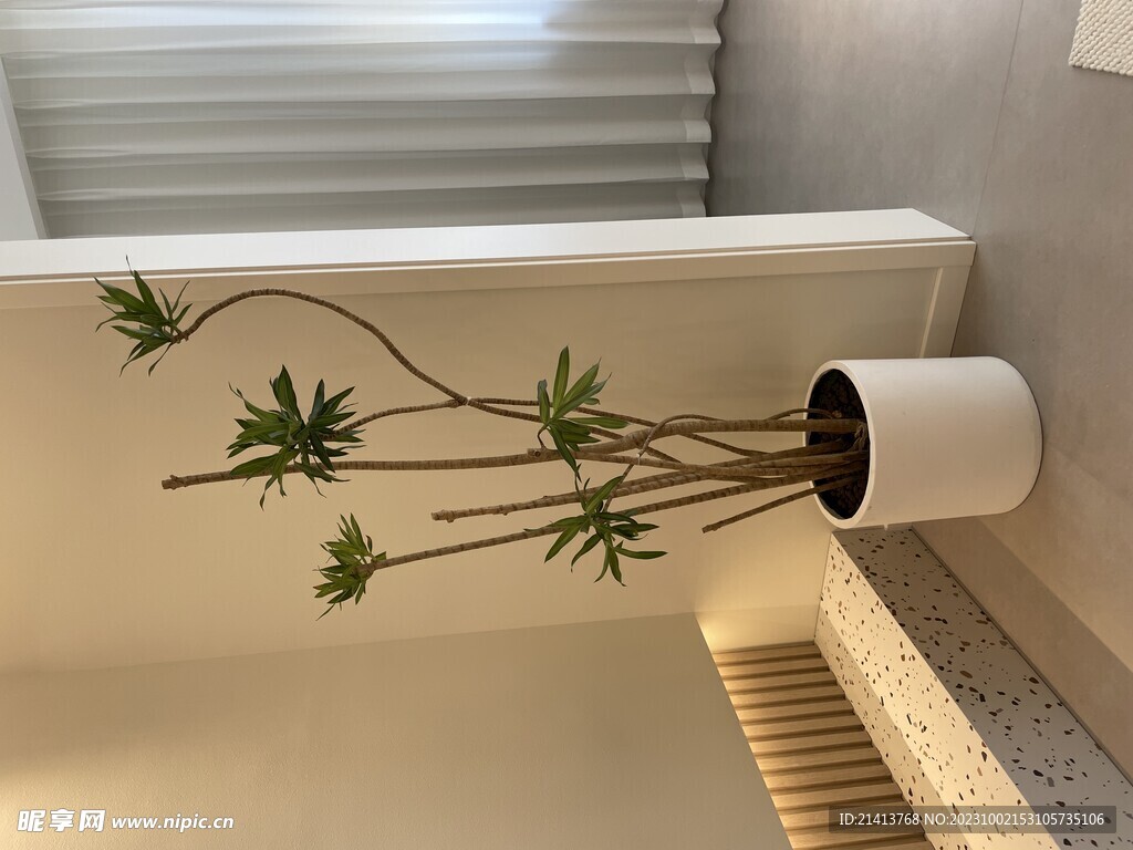 家居绿植摆件