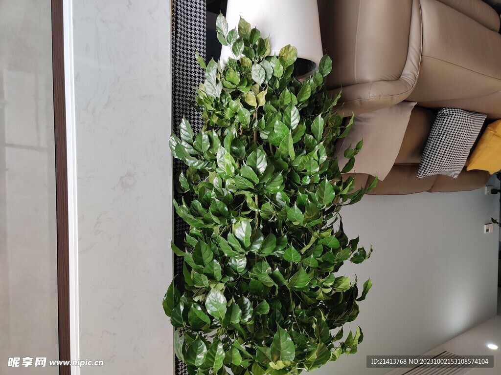家居绿植摆件