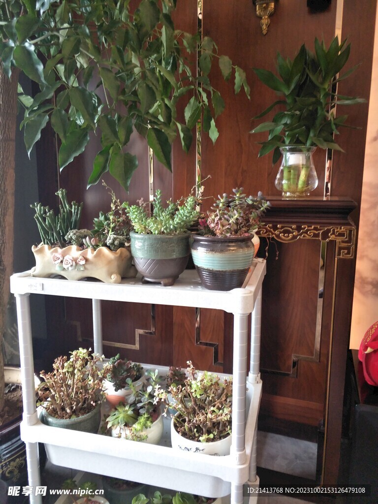 家居绿植摆件