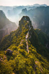 青山
