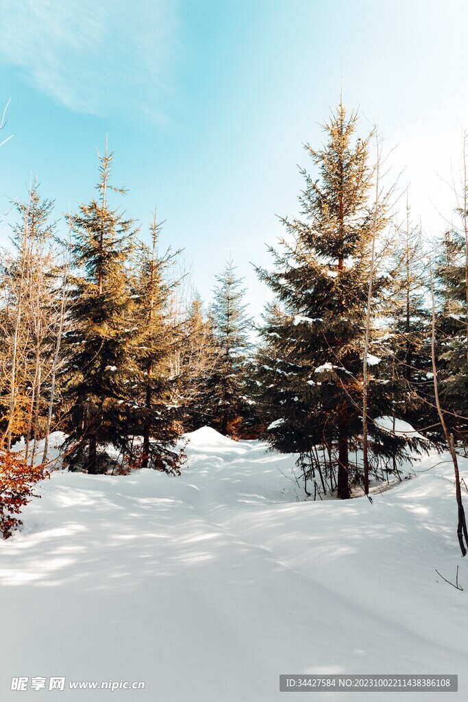 冬季山林雪景