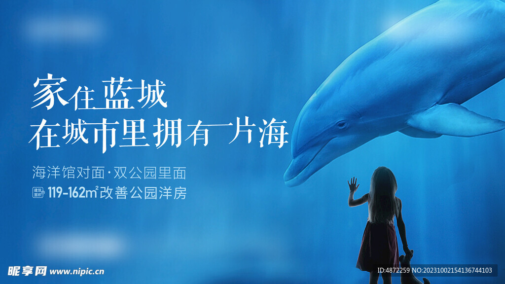 海豚  