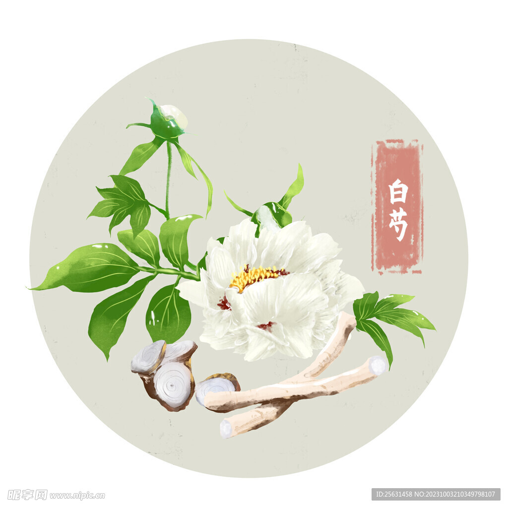 白芍