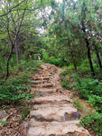 山路