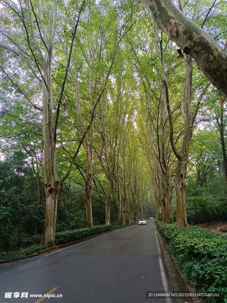 马路上风景