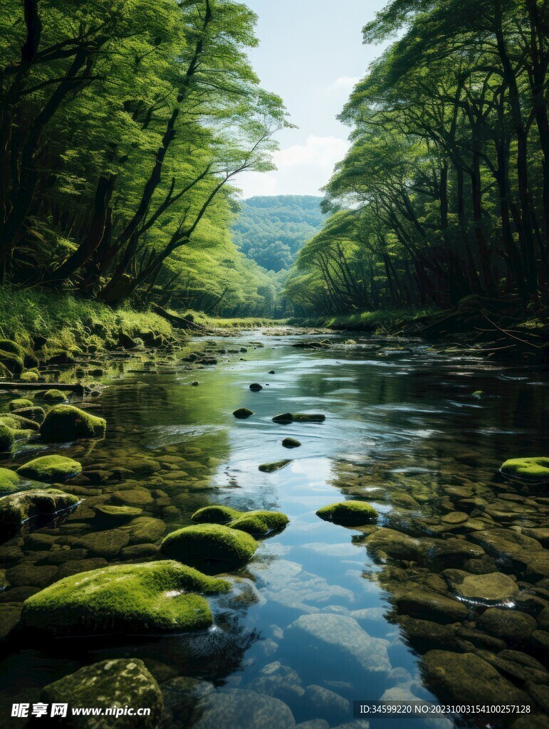 小溪 