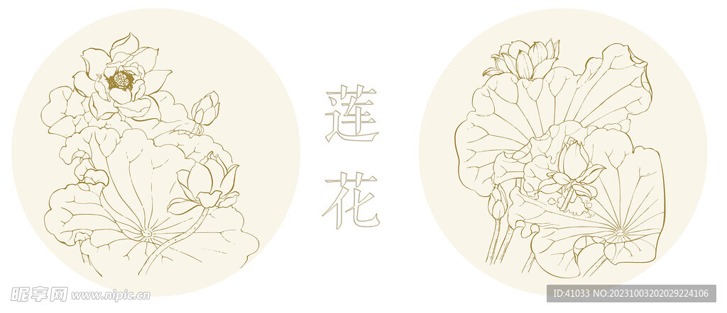莲花