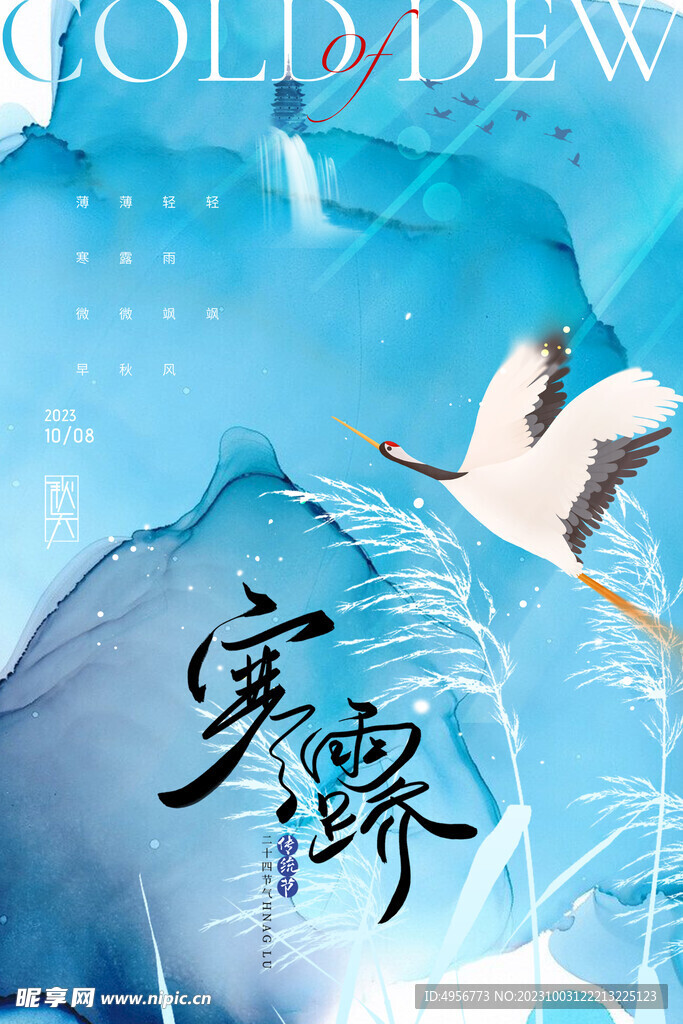 寒露飞鸟二十四节气海报