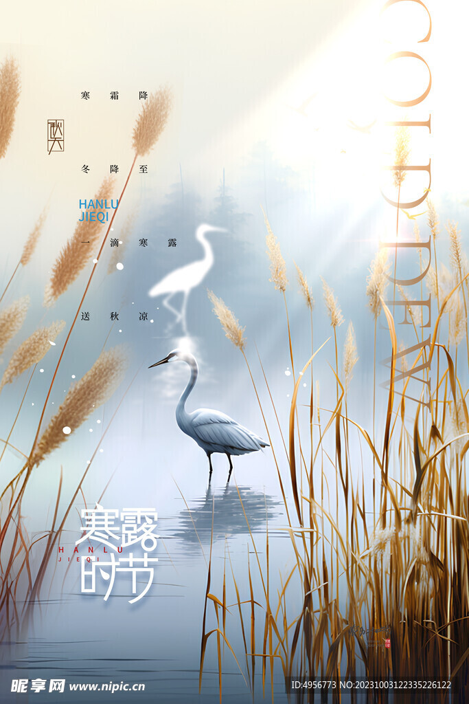 寒露飞鸟二十四节气海报