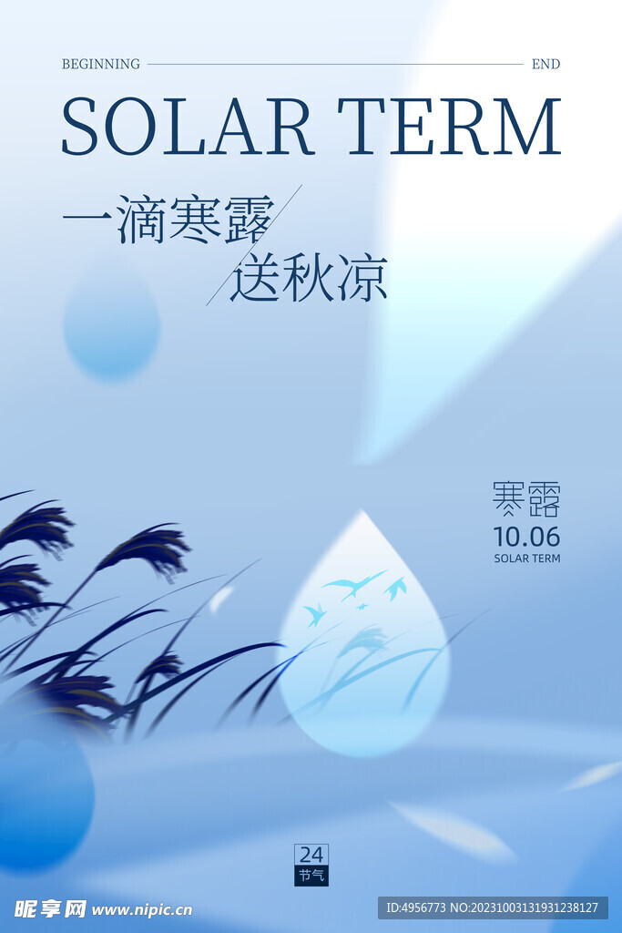 蓝色寒露芦苇飞鸟露水节气海报