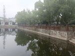 水岸风景