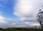 美丽天空