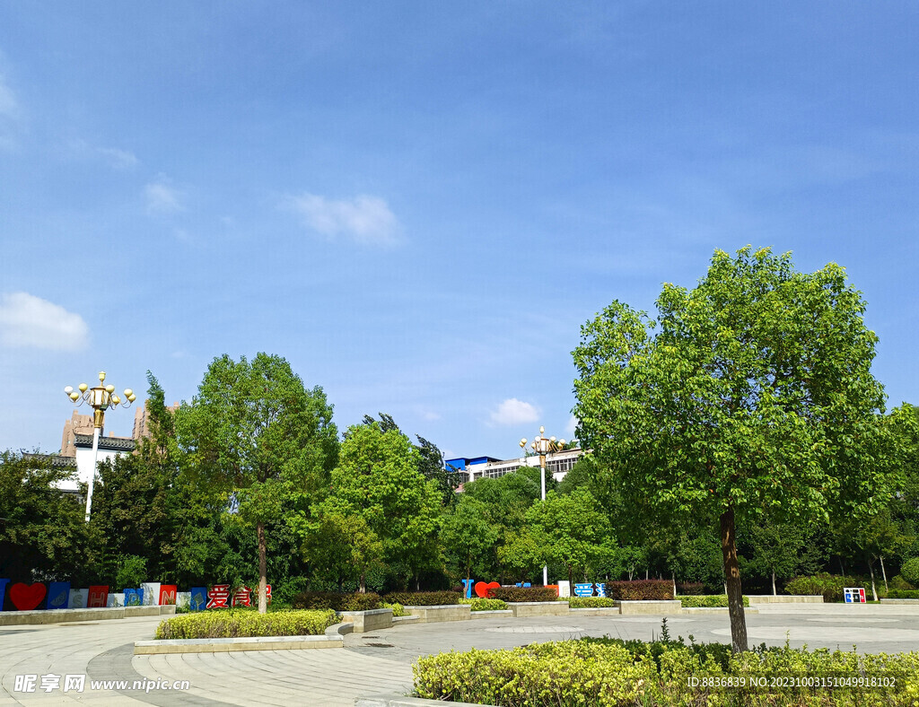树