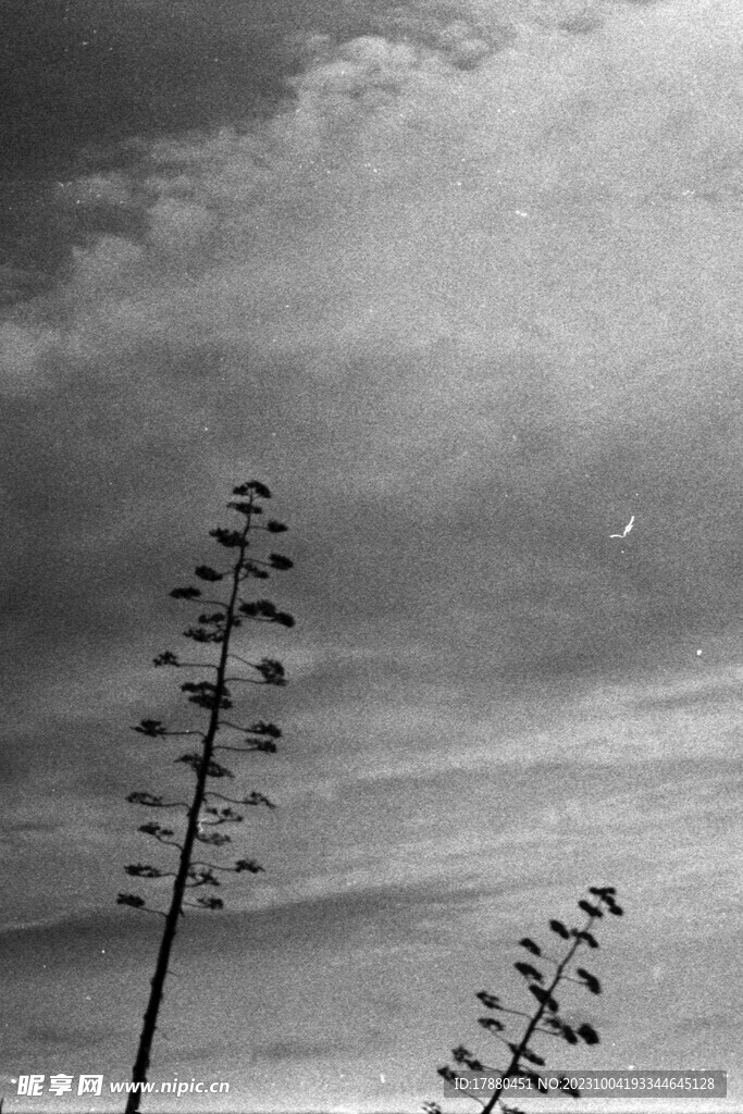 天空