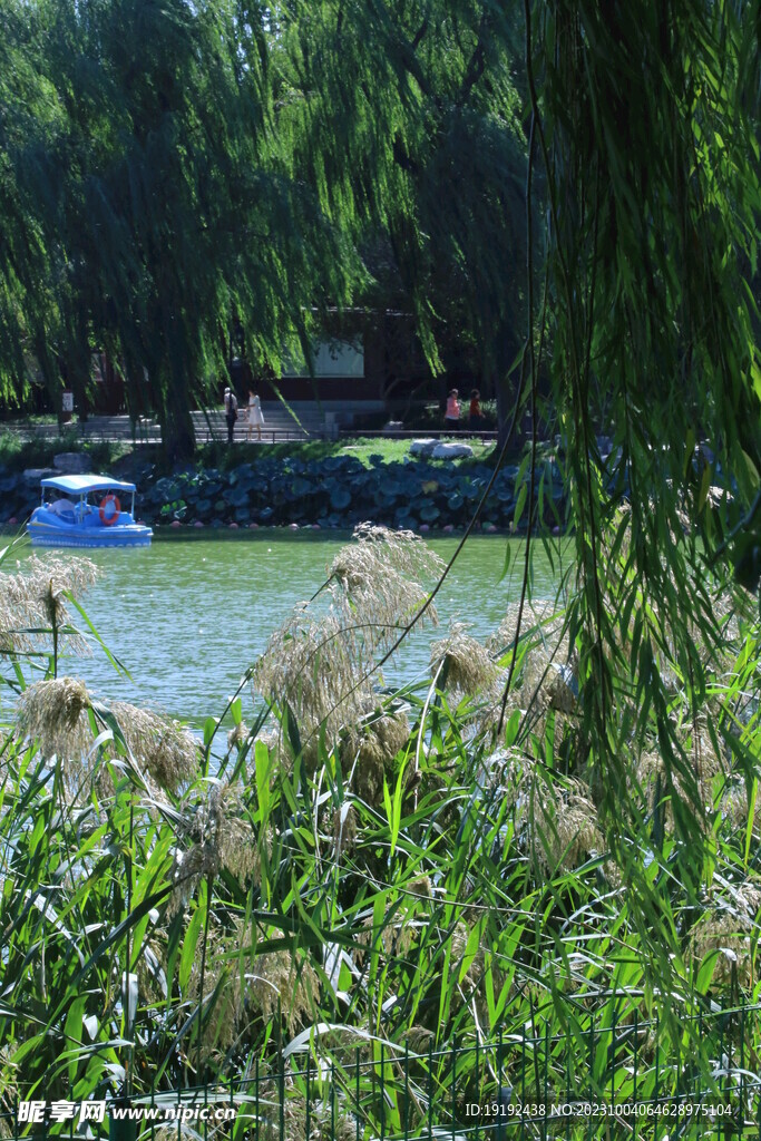 陶然亭风景