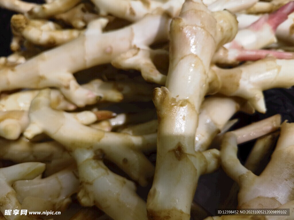 生姜