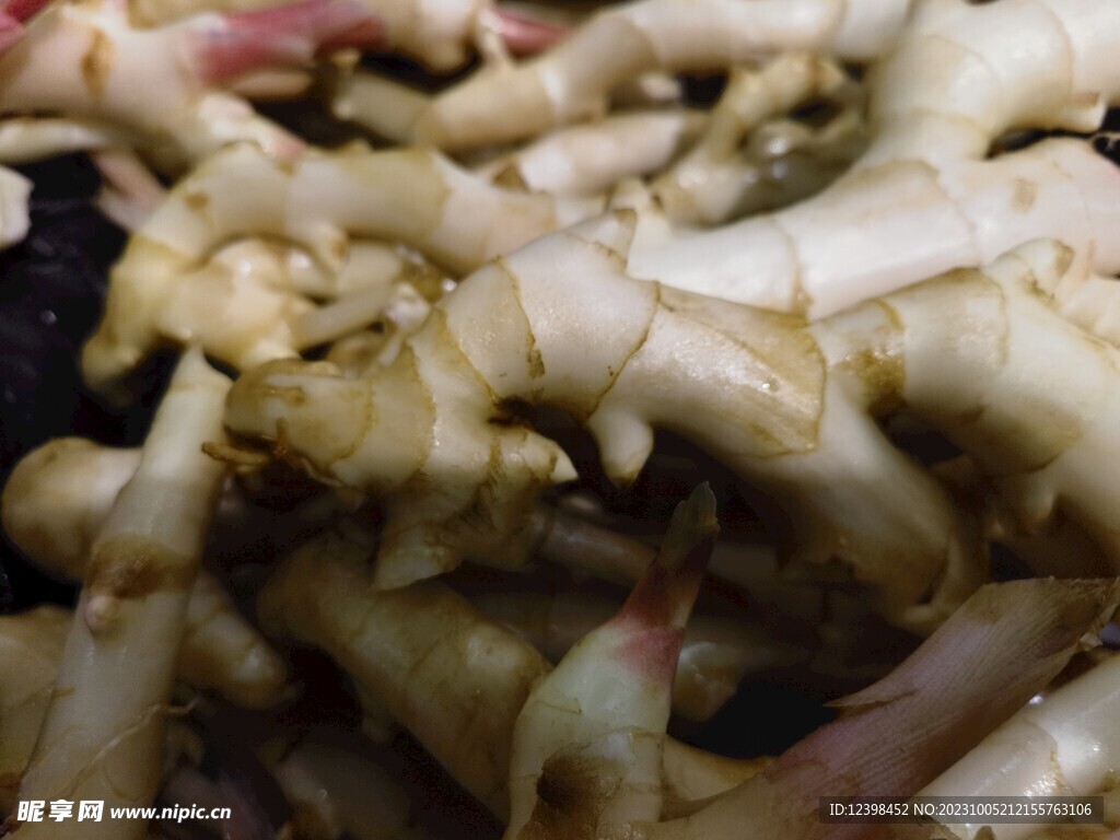 生姜