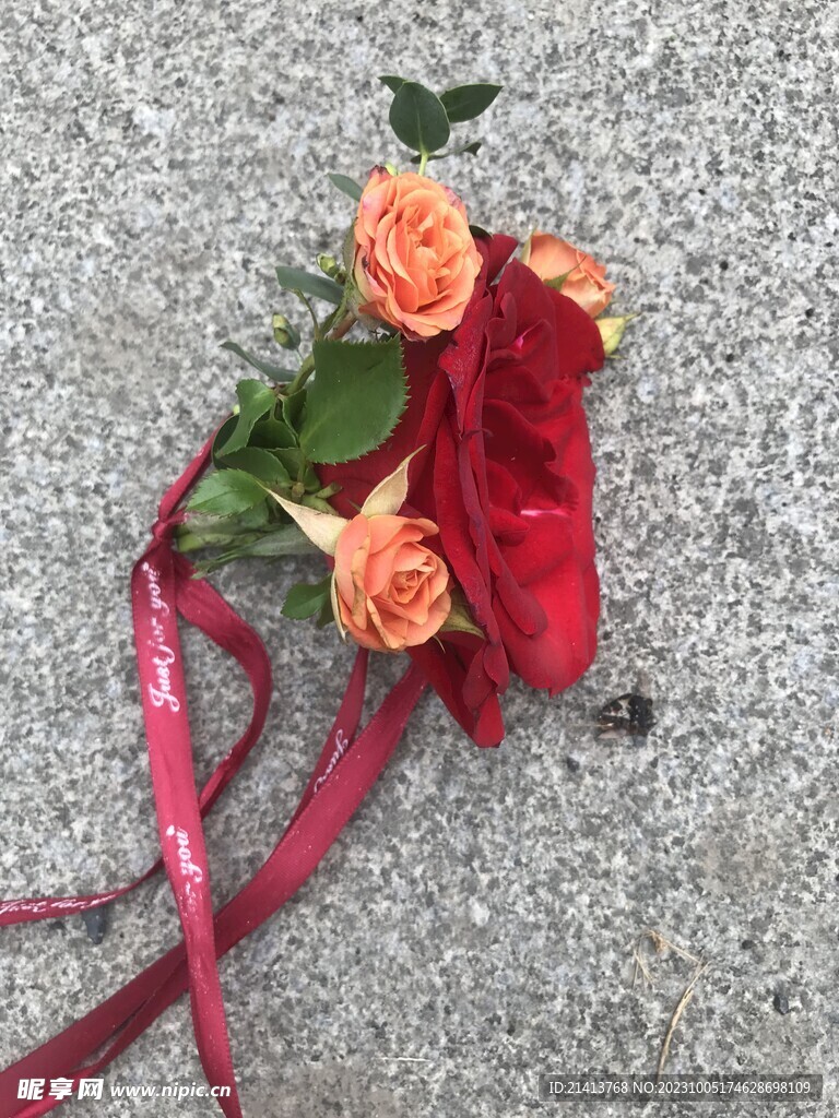 玫瑰花朵花卉
