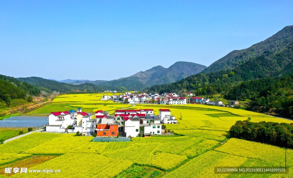 美丽乡村风景图