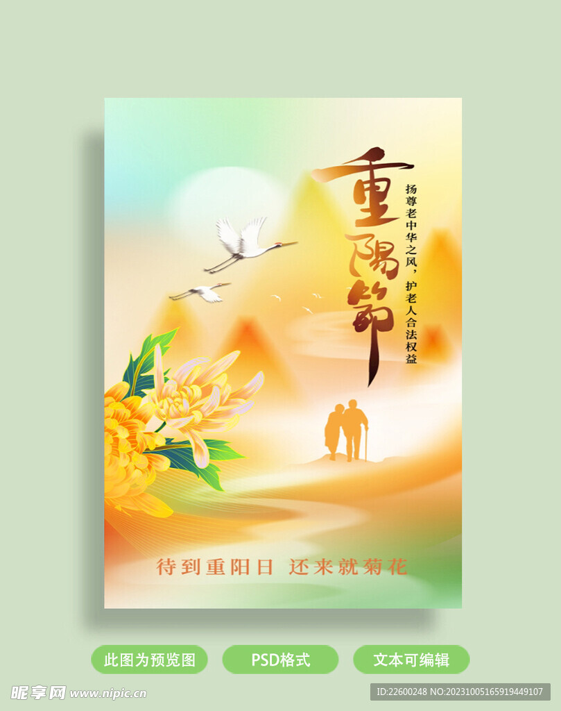重阳节海报