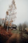 山间木屋
