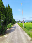 乡村水泥道路