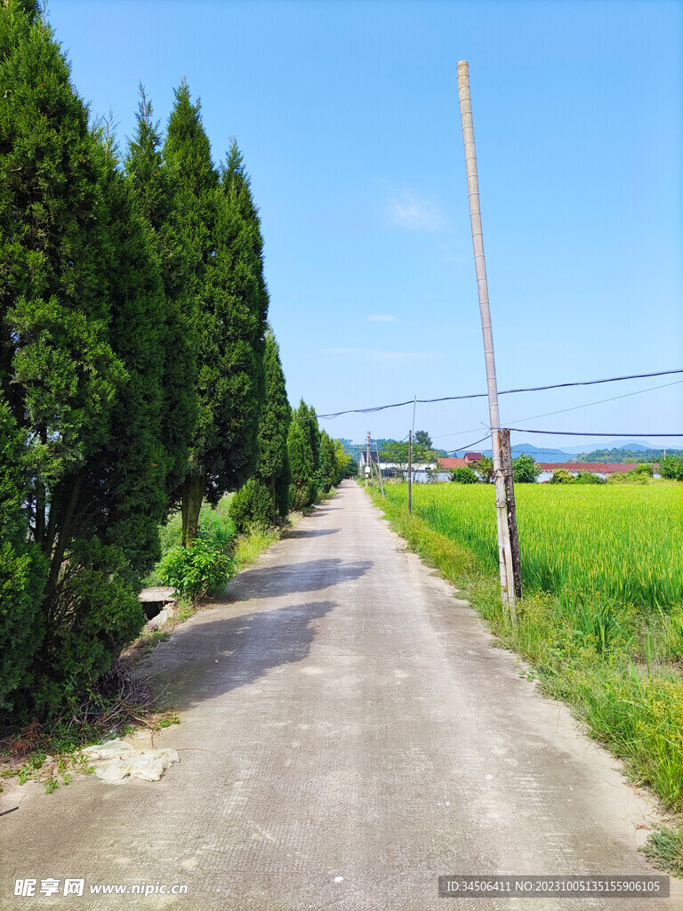 乡村水泥道路