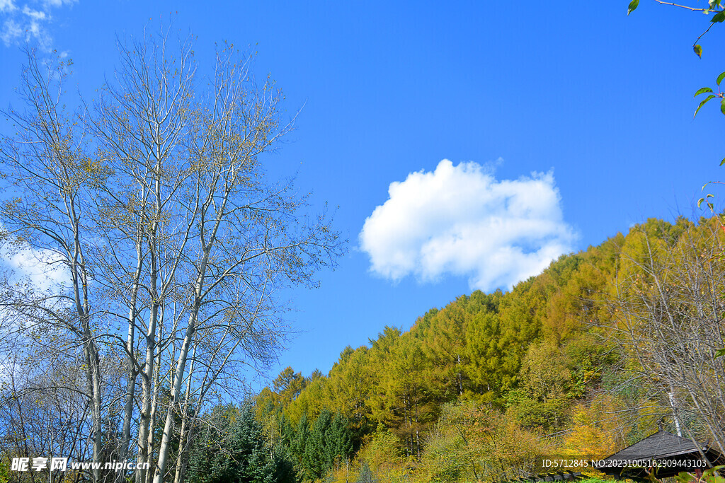 虎园风景