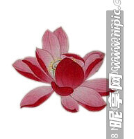 红莲