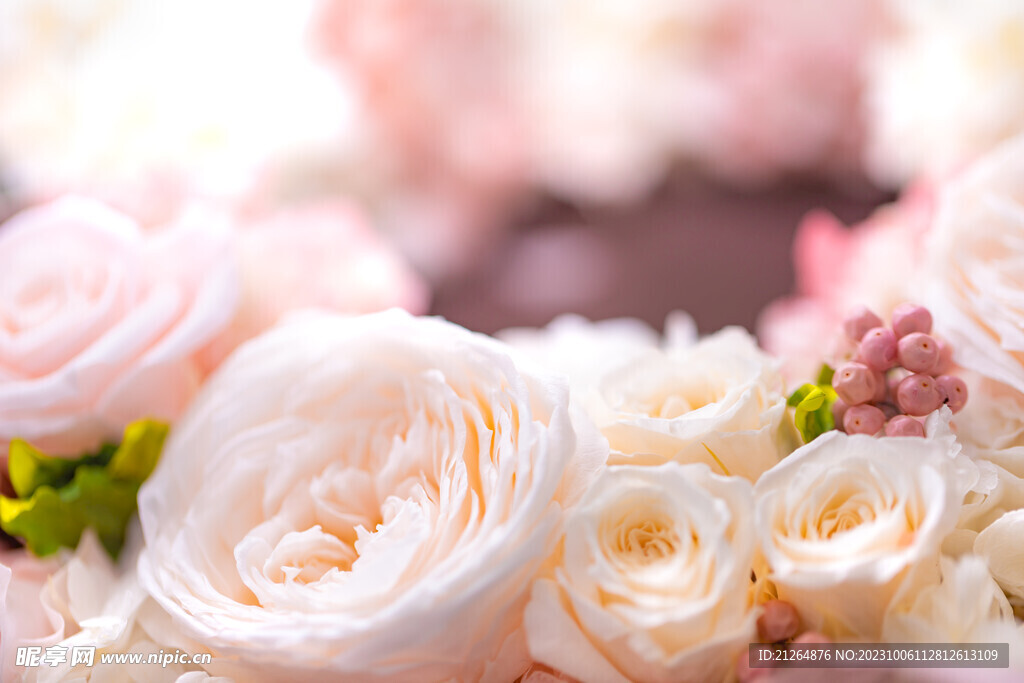 玫瑰花