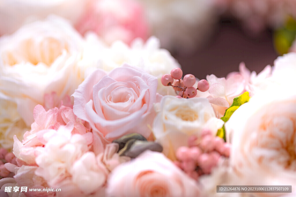 玫瑰花