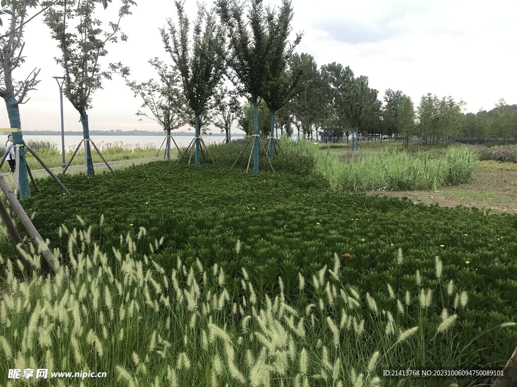自然风光风景
