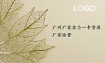 简约名片