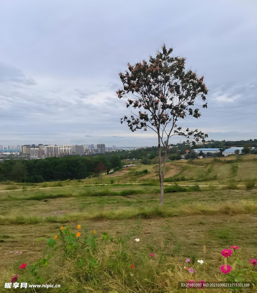 城市的郊外