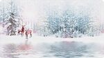 冰天雪地