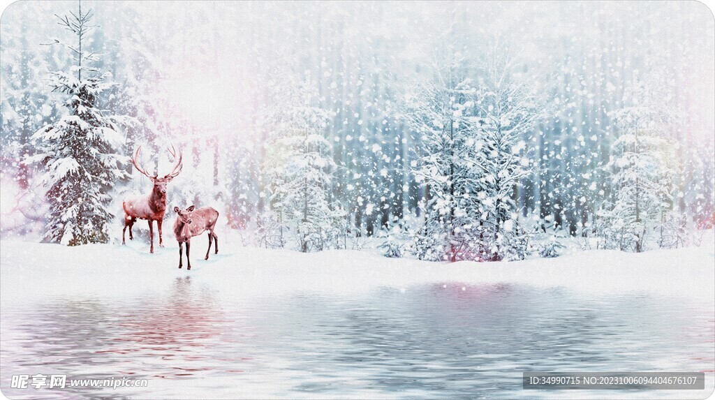 冰天雪地