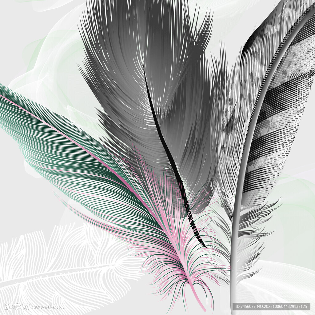 灰色羽毛挂画装饰画