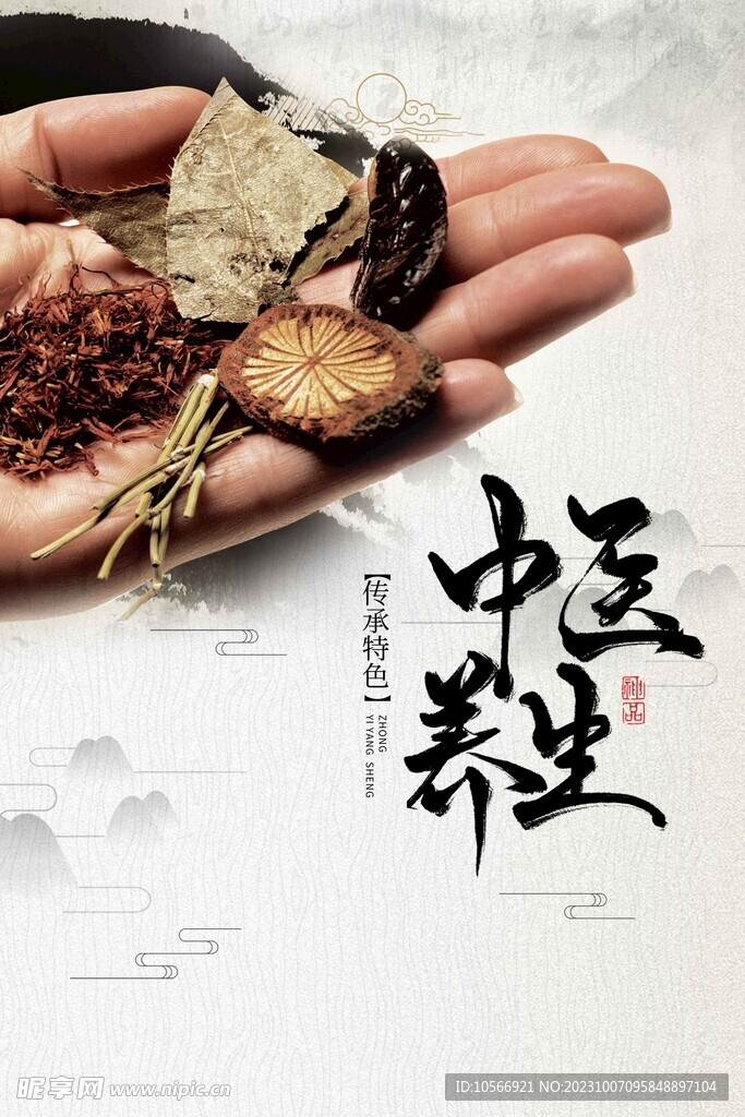 中医养生药材海报