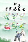 中草药海报