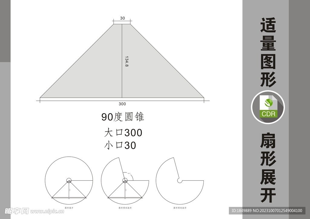 椎体扇形展开