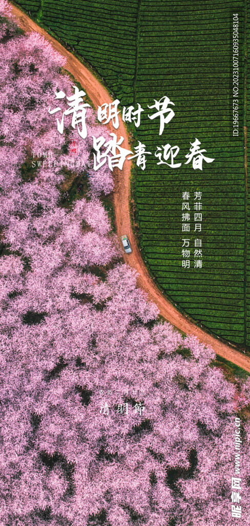 清明节海报 