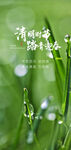 清明节海报 